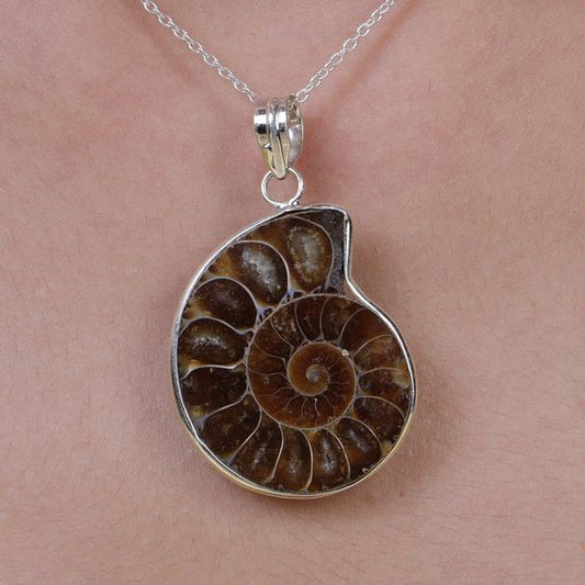 Ammonite Fossil Pendant - Medium Size