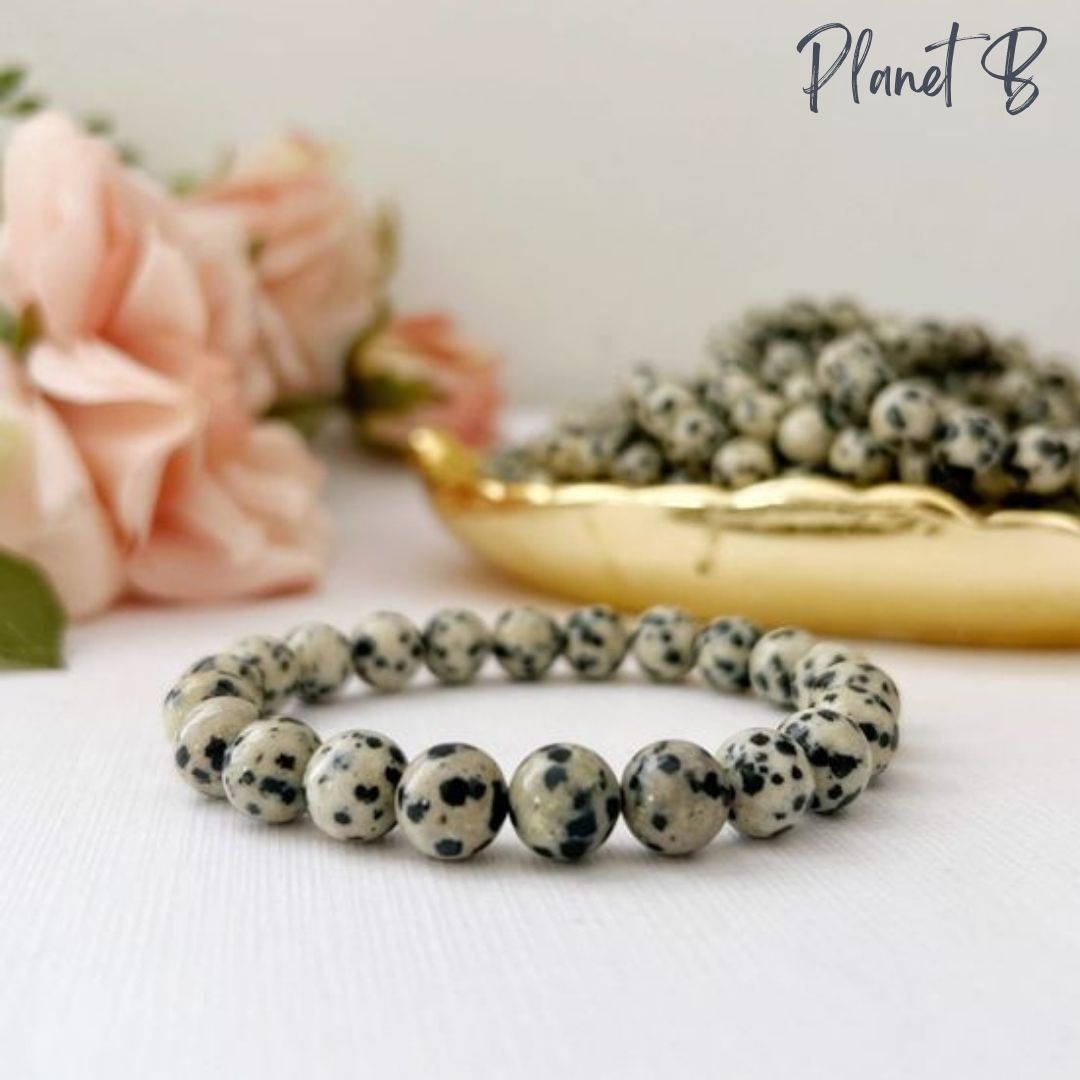 Dalmatian Jasper AAA Bracelet