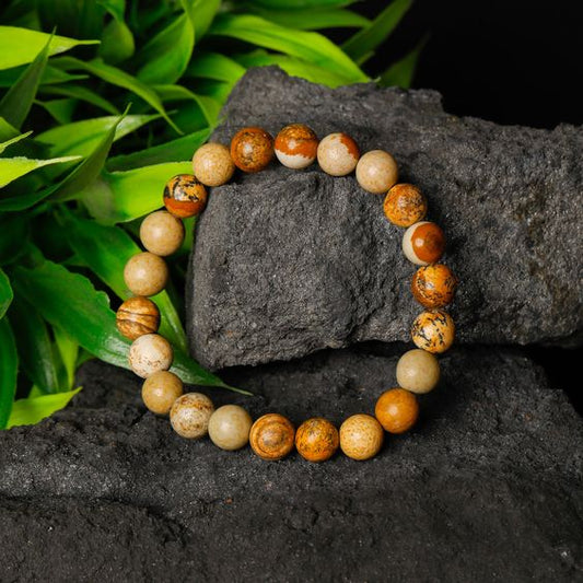 Coral Fossil AAA Bracelet