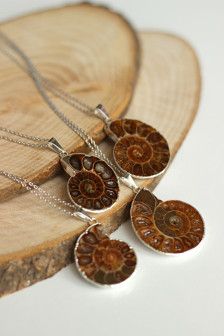 Ammonite Fossil Pendant - Medium Size